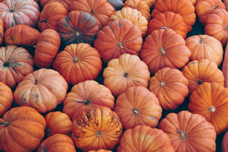 Halloween Pumpkin