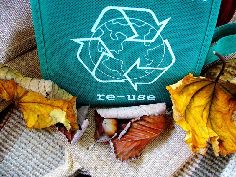 DIY tote bags